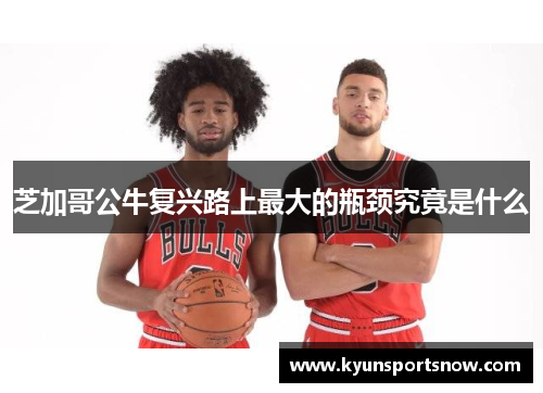 芝加哥公牛复兴路上最大的瓶颈究竟是什么